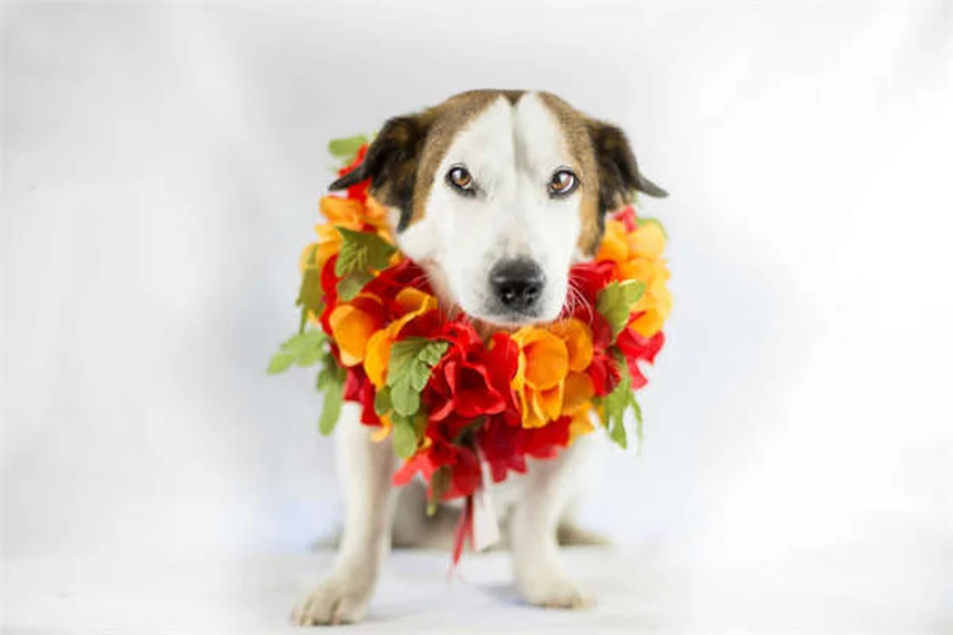 How Often Do You Need a Colonoscopy? New Guidelines Say You Might Wait Longer